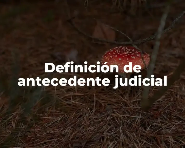Definición de antecedente judicial