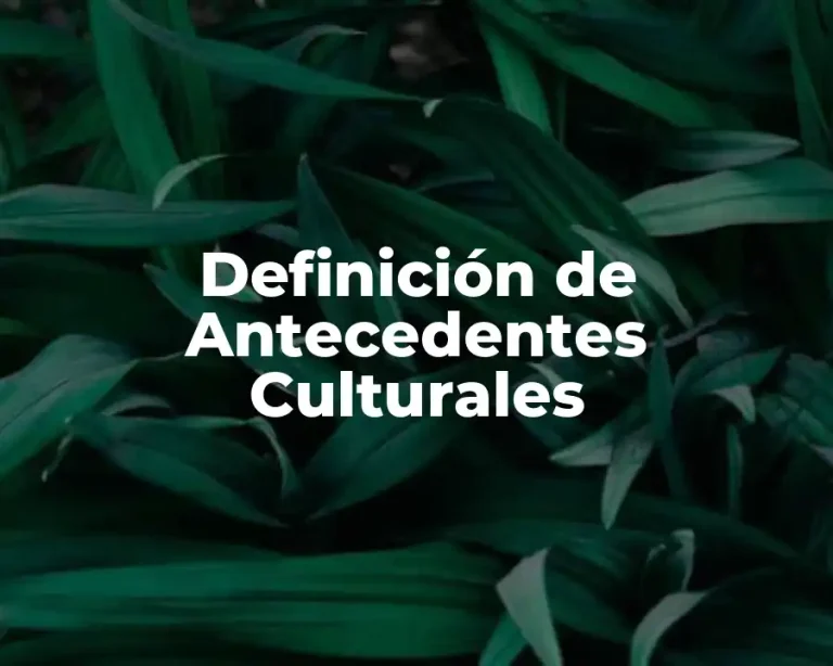 Definición de Antecedentes Culturales