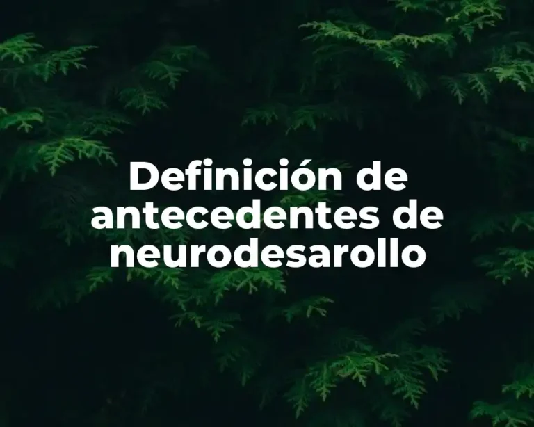 Definición de antecedentes de neurodesarollo