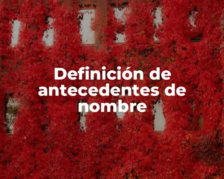 Definición de antecedentes de nombre