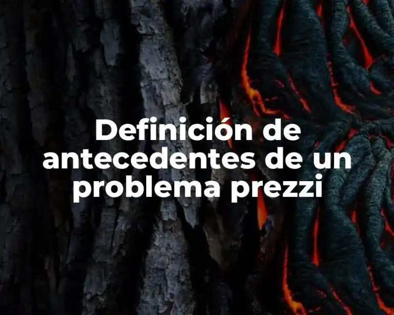 Definición de antecedentes de un problema prezzi