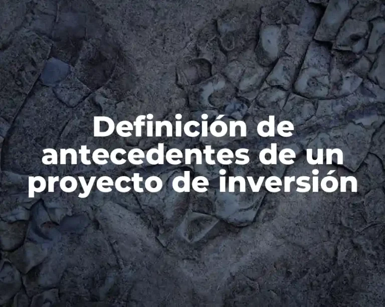 Definición de antecedentes de un proyecto de inversión