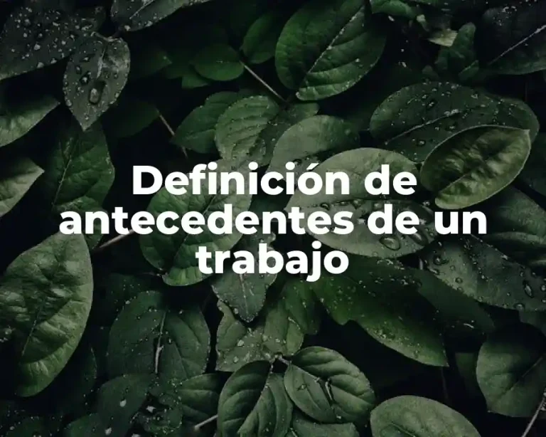 Definición de antecedentes de un trabajo