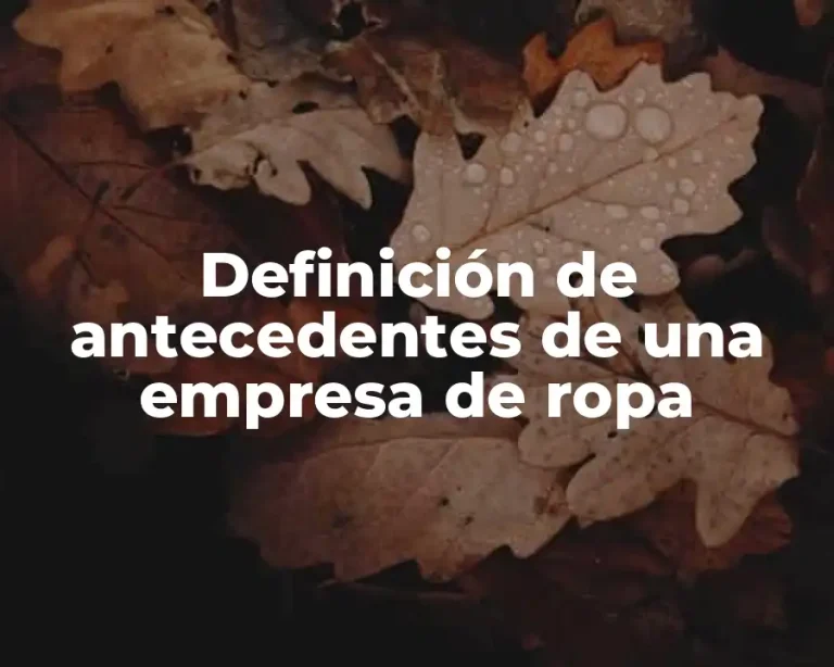 Definición de antecedentes de una empresa de ropa