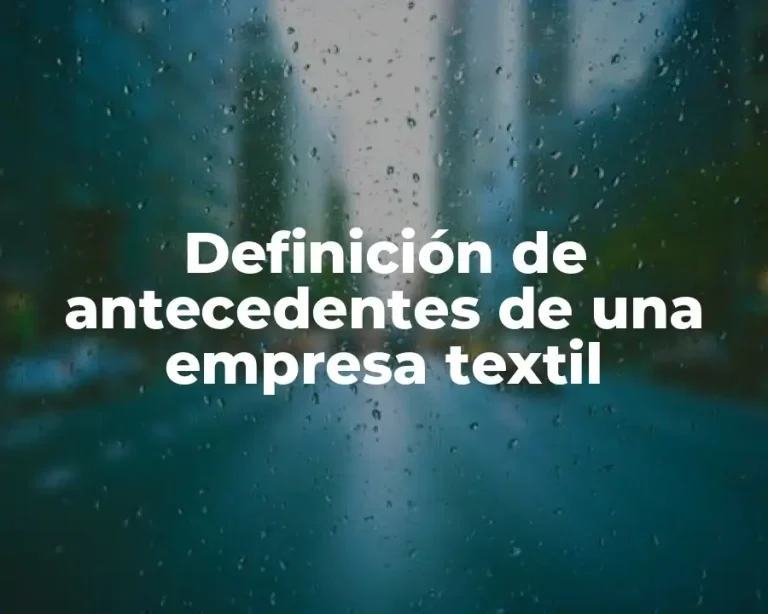Definición de antecedentes de una empresa textil