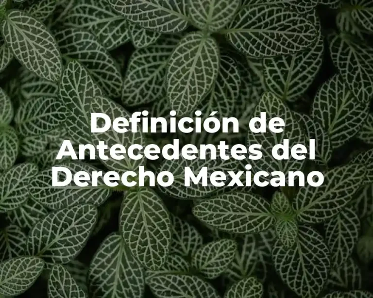 Definición de Antecedentes del Derecho Mexicano