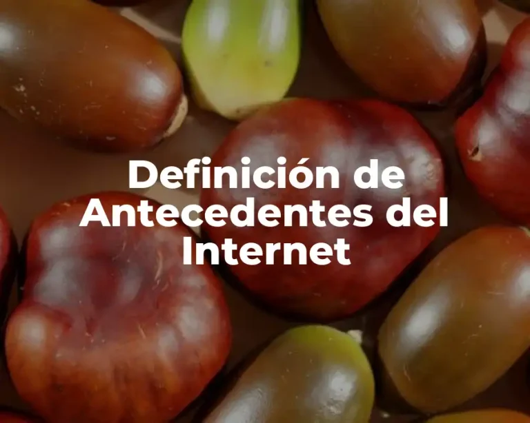 Definición de Antecedentes del Internet