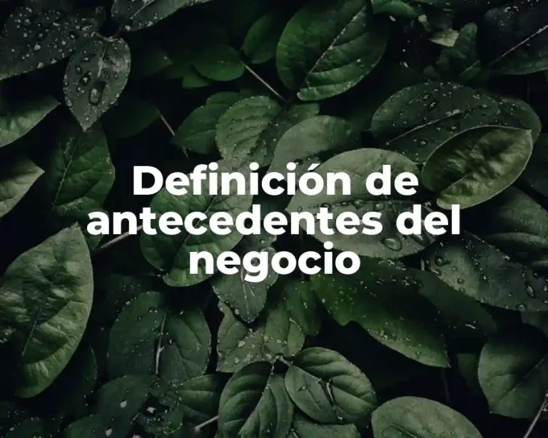 Definición de antecedentes del negocio