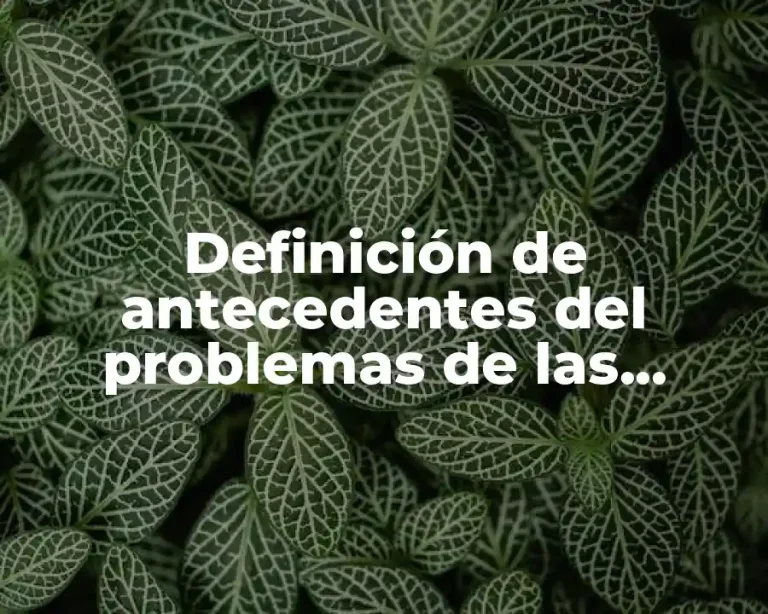 Definición de antecedentes del problemas de las relaciones públicas