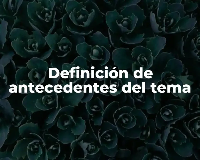 Definición de antecedentes del tema
