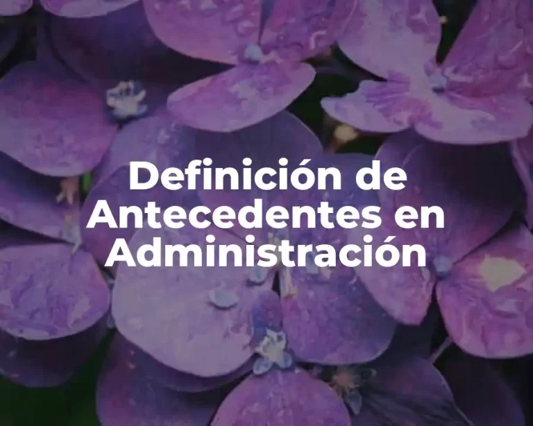 Definición de Antecedentes en Administración