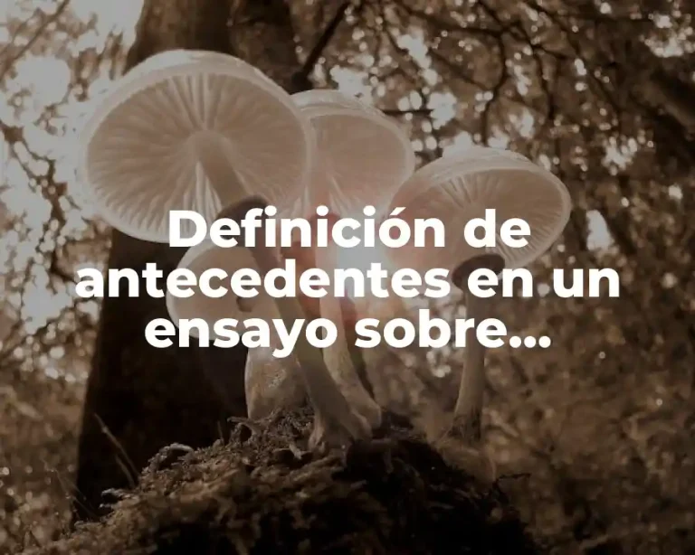 Definición de antecedentes en un ensayo sobre ayotzinapa