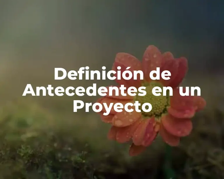 Definición de Antecedentes en un Proyecto