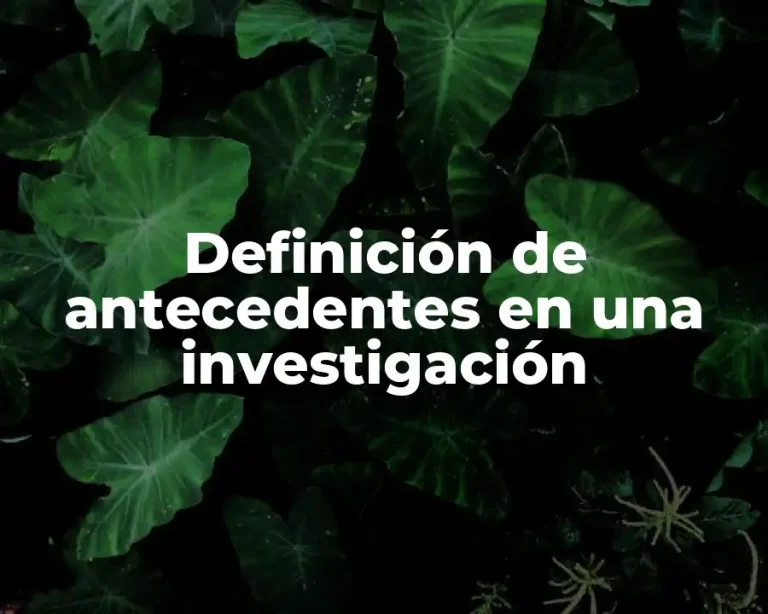 Definición de antecedentes en una investigación