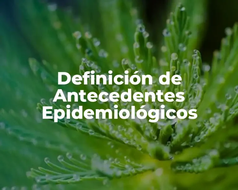Definición de Antecedentes Epidemiológicos