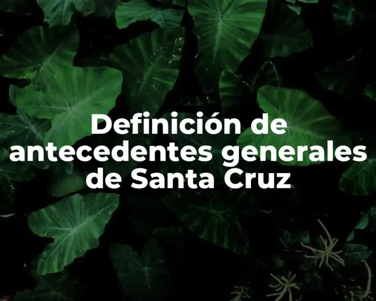 Definición de antecedentes generales de Santa Cruz
