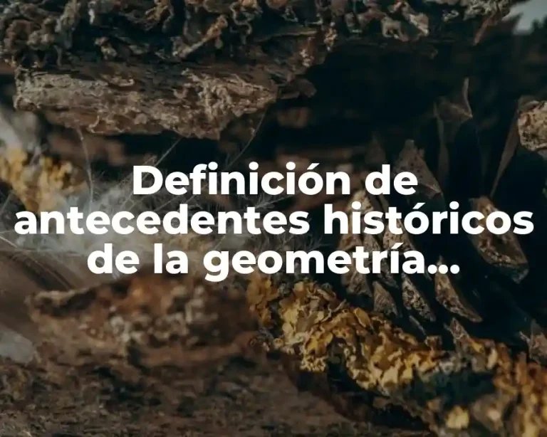 Definición de antecedentes históricos de la geometría analítica