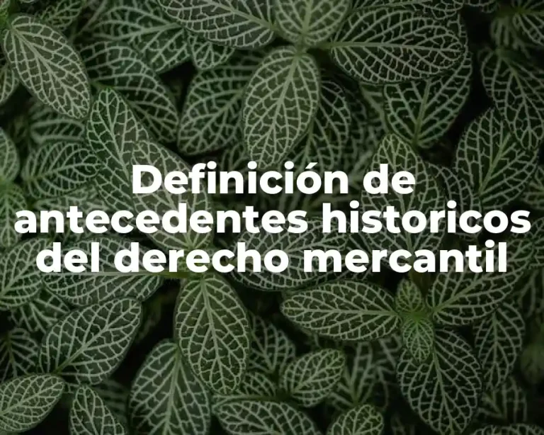 Definición de antecedentes historicos del derecho mercantil