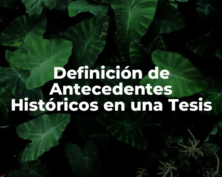 Definición de Antecedentes Históricos en una Tesis