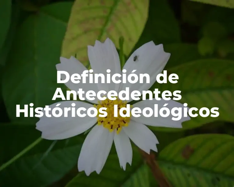 Definición de Antecedentes Históricos Ideológicos