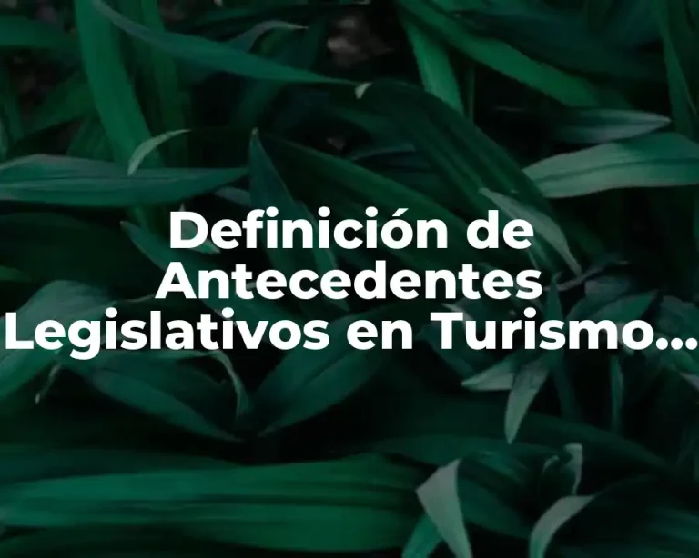 Definición de Antecedentes Legislativos en Turismo en México