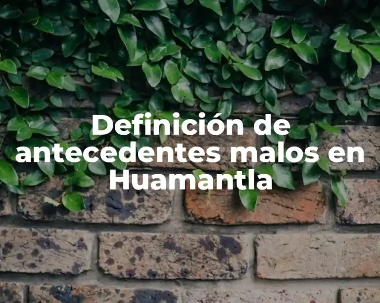 Definición de antecedentes malos en Huamantla