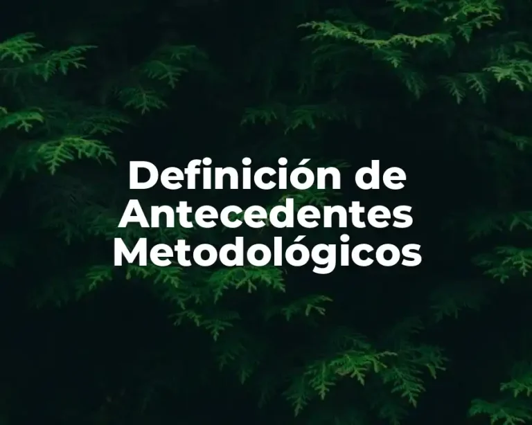 Definición de Antecedentes Metodológicos
