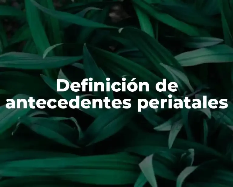 Definición de antecedentes periatales