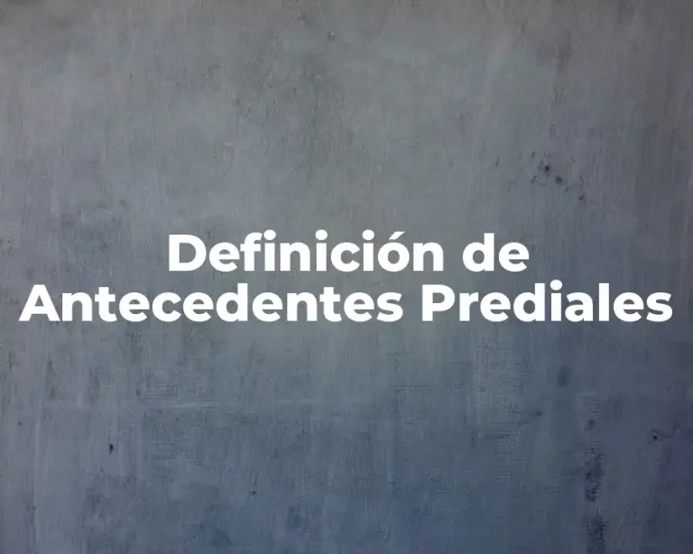 Definición de Antecedentes Prediales