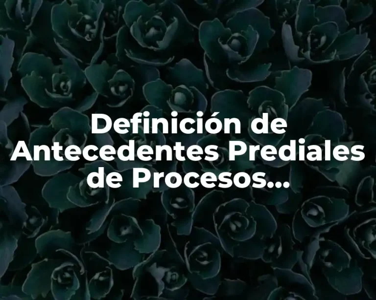 Definición de Antecedentes Prediales de Procesos Constructivos