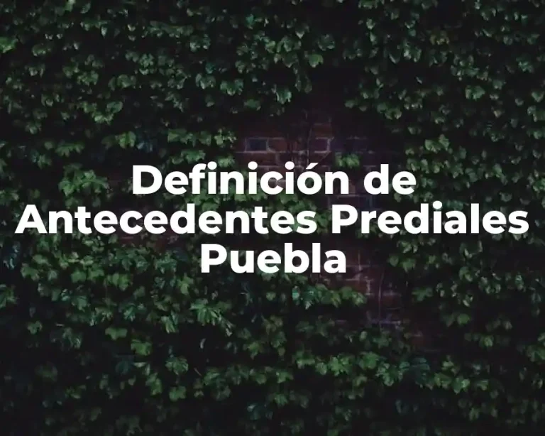 Definición de Antecedentes Prediales Puebla