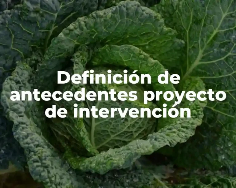 Definición de antecedentes proyecto de intervención