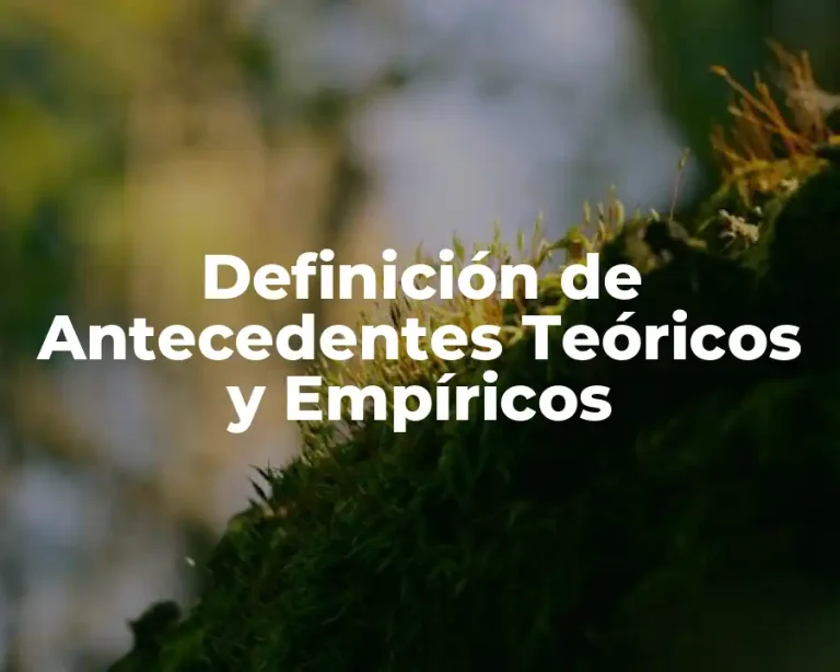 Definición de Antecedentes Teóricos y Empíricos