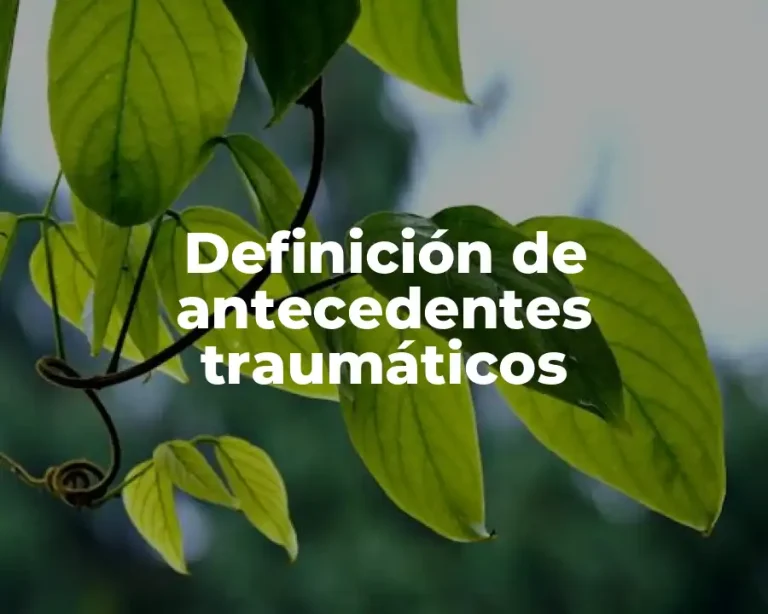 Definición de antecedentes traumáticos