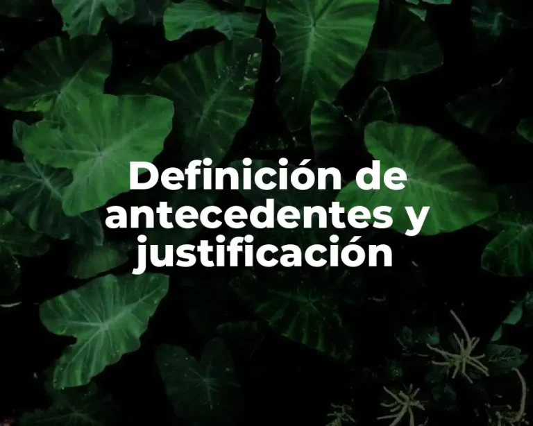 Definición de antecedentes y justificación
