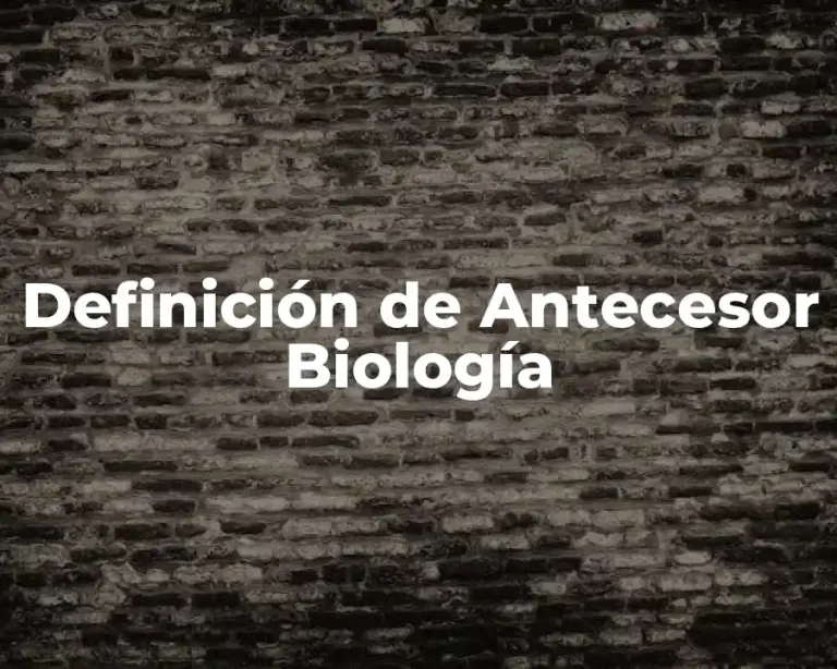 Definición de Antecesor Biología