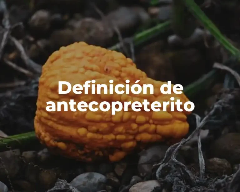 Definición de antecopreterito