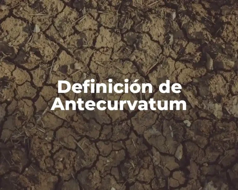Definición de Antecurvatum