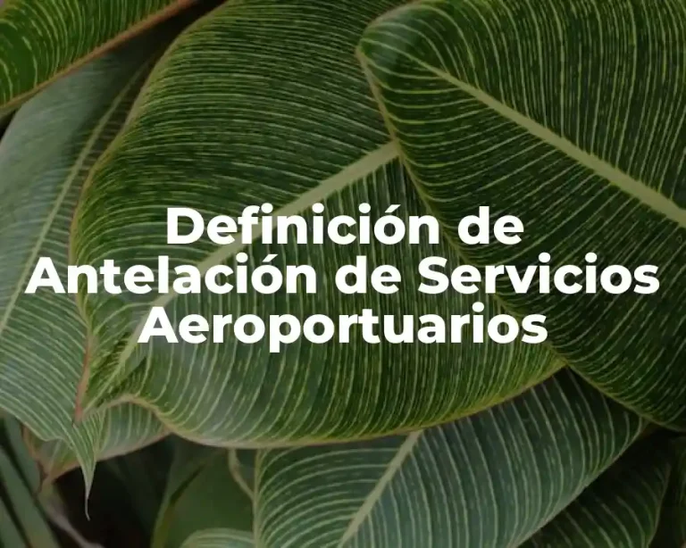Definición de Antelación de Servicios Aeroportuarios
