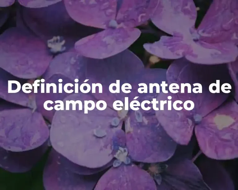 Definición de antena de campo eléctrico