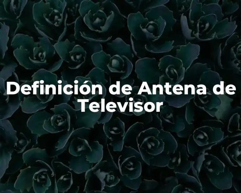Definición de Antena de Televisor
