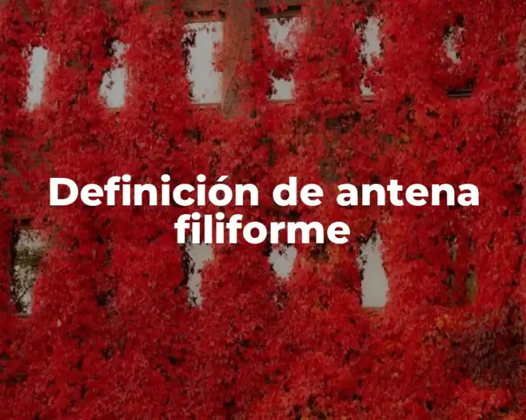Definición de antena filiforme