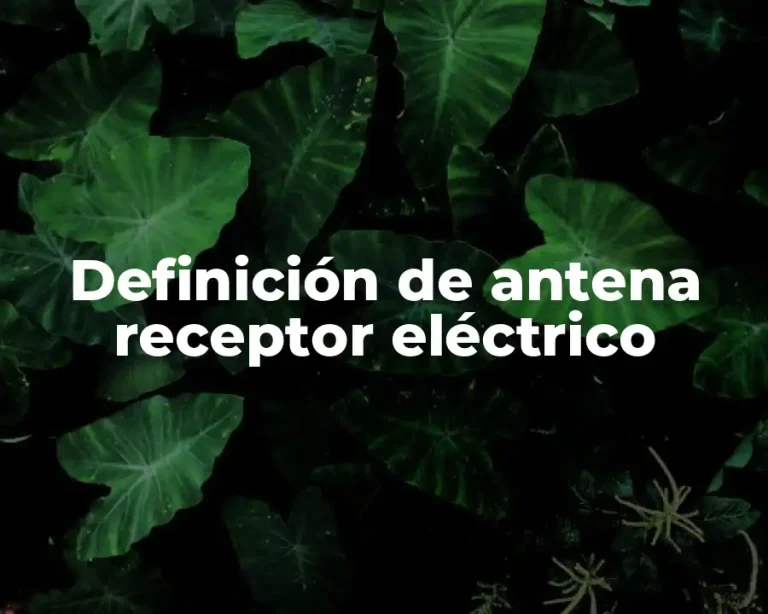 Definición de antena receptor eléctrico