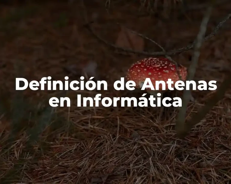 Definición de Antenas en Informática