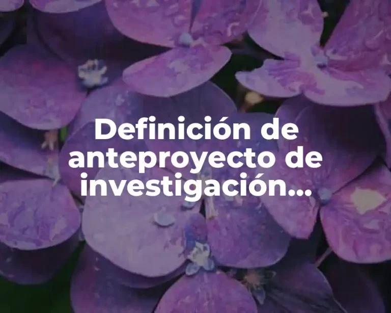Definición de anteproyecto de investigación educación