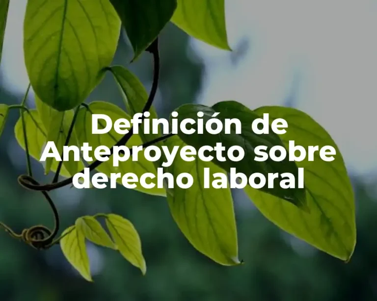 Definición de Anteproyecto sobre derecho laboral