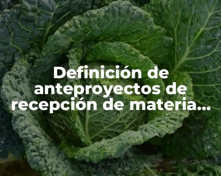 Definición de anteproyectos de recepción de materia prima