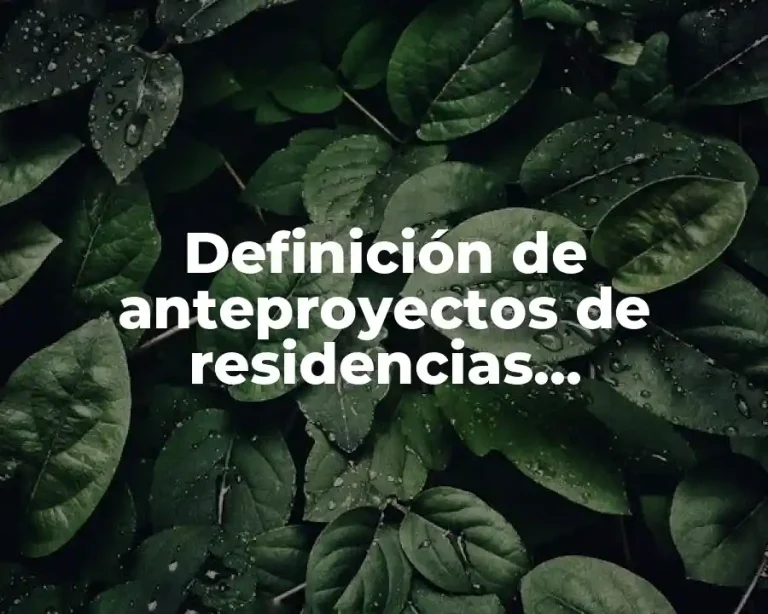Definición de anteproyectos de residencias profesionales