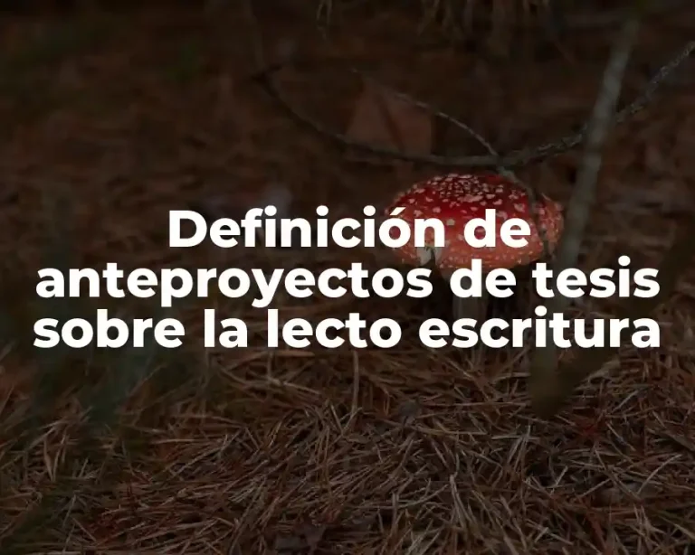 Definición de anteproyectos de tesis sobre la lecto escritura
