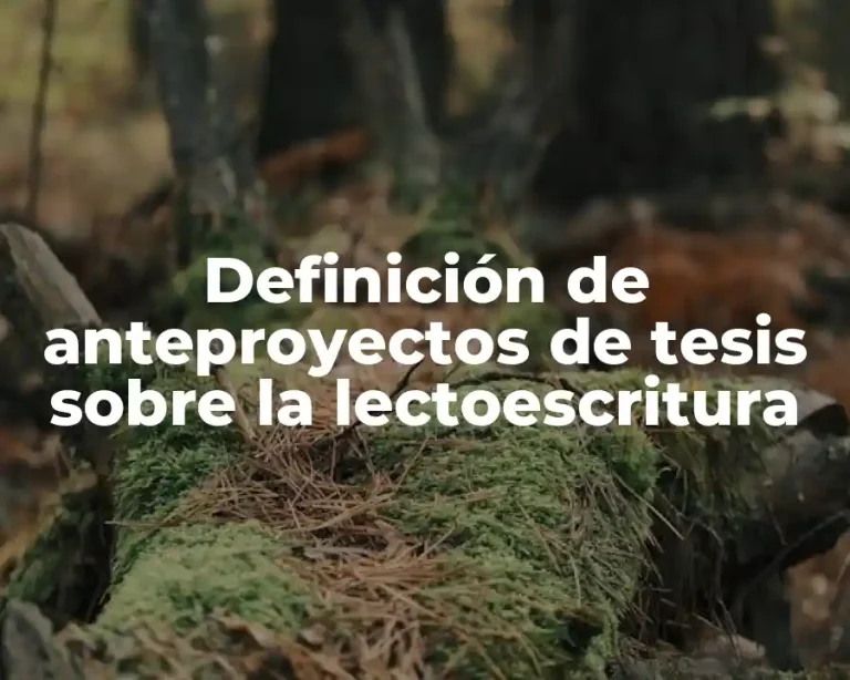 Definición de anteproyectos de tesis sobre la lectoescritura